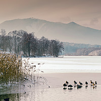 Buy canvas prints of Winter on Lake Staffel by Kasia Design