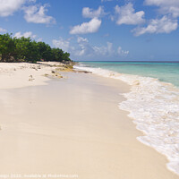 Buy canvas prints of Pink Beach, Bonaire by Kasia Design