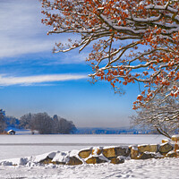 Buy canvas prints of Frozen Lake Staffel, Bavaria, Germany by Kasia Design