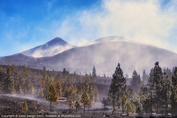 Last Trees on way up to El Teide, Tenerife, Spain Picture Board by Kasia Design