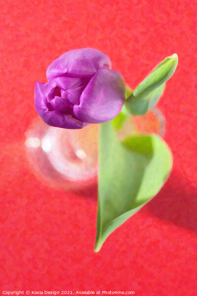 A Tulip for Your Loved One Picture Board by Kasia Design