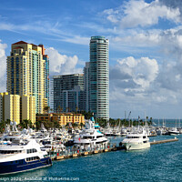 Buy canvas prints of Miami Beach Marina by Kasia Design
