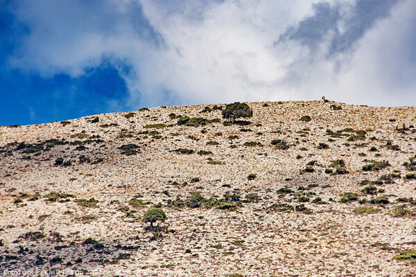 Barren Hillside on the Lasithi Plateau Picture Board by Kasia Design