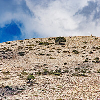 Buy canvas prints of Barren Hillside on the Lasithi Plateau by Kasia Design