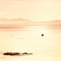 Buy canvas prints of Misty Mountains in the Dawn Light, Islay by Kasia Design