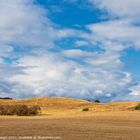 Buy canvas prints of Golden Harvest on the Hill by Kasia Design