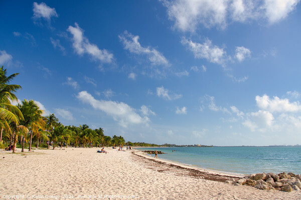 Golden Sands on Virginia Key, Florida, USA Picture Board by Kasia Design