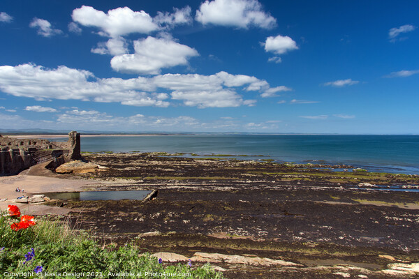 Tidal Pool and Rocks below the Castle, St Andrews Picture Board by Kasia Design
