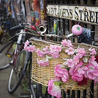 Buy canvas prints of Pink Bicycle, Cambridge by Susan Witterick