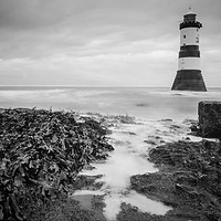 Buy canvas prints of Penmon Lighthouse by Susan Witterick