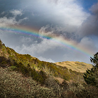 Buy canvas prints of Highlands Rainbow by Rosalind White