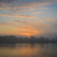 Buy canvas prints of Tring Reservoirs Misty Sunset by Rosalind White