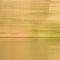 Buy canvas prints of Nature In Motion by Richard Astbury
