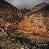 Buy canvas prints of Going up the Watkin Path by Clive Ashton