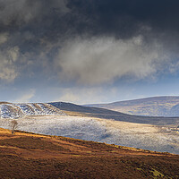 Buy canvas prints of Snow showers by Clive Ashton