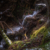 Buy canvas prints of Spring Stream by Clive Ashton