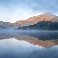 Buy canvas prints of Misty morning by Clive Ashton