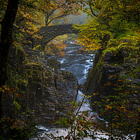 Buy canvas prints of The bridge at the Hermitage, Perthshire by Clive Ashton