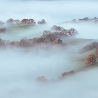 Buy canvas prints of Misty morning by Clive Ashton