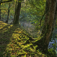 Buy canvas prints of Morning mist on the Llugwy by Clive Ashton