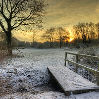 Buy canvas prints of Winter walk by Clive Ashton