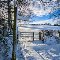 Buy canvas prints of Winter footpath by Clive Ashton