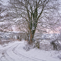 Buy canvas prints of Winter lane by Clive Ashton