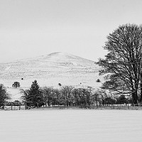 Buy canvas prints of Winter in Llantysilio by Clive Ashton