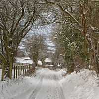 Buy canvas prints of The long walk home by Clive Ashton