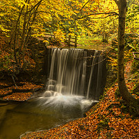 Buy canvas prints of Plas Power Waterfall by Clive Ashton