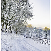Buy canvas prints of The snowy road home by Clive Ashton