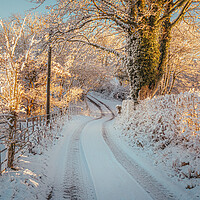 Buy canvas prints of Snowy Lane by Clive Ashton