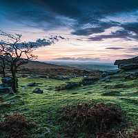 Buy canvas prints of Lonely tree at sunset in Dartmoor Park, UK by marcin jucha