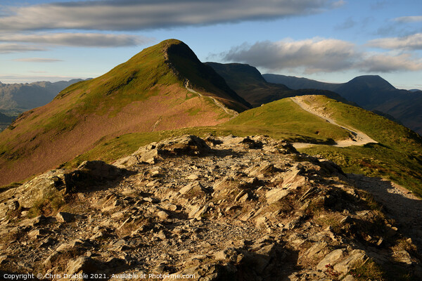 Early light at Catbells Picture Board by Chris Drabble