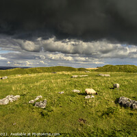 Buy canvas prints of Arbor Low, Stone Circle by Chris Drabble