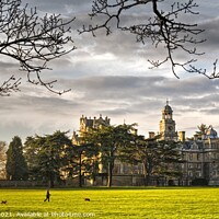 Buy canvas prints of Thoresby Hall in the last light of the day by Chris Drabble