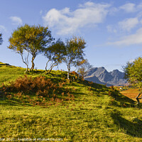 Buy canvas prints of Bla Bheinn from the B8083 road by Chris Drabble
