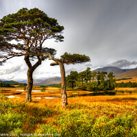 Buy canvas prints of Loch Tulla Autumn light by Chris Drabble