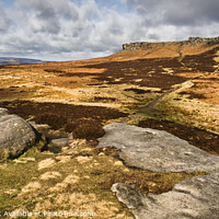 Buy canvas prints of Looking over to Higger Tor from Carl Wark by Chris Drabble
