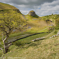 Buy canvas prints of Cressbrook Dale in evening light by Chris Drabble