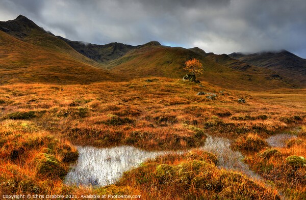Glen Shiel and Aonach air Chrith Picture Board by Chris Drabble