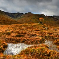 Buy canvas prints of Glen Shiel and Aonach air Chrith by Chris Drabble