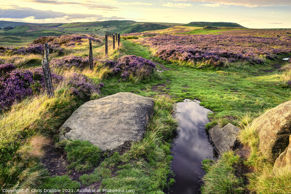 Millstone Edge in Summer light Picture Board by Chris Drabble