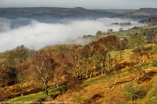 Mist inversion in the Derwent Valley Picture Board by Chris Drabble