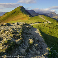 Buy canvas prints of Catbells from Skelgill Bank at first light by Chris Drabble