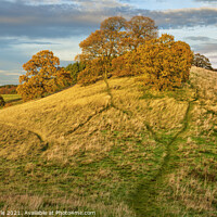 Buy canvas prints of Robin Hood's Hill in warm Autumn light by Chris Drabble