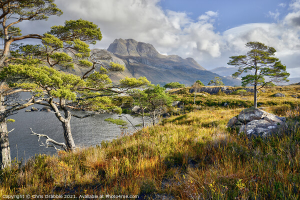 Slioch from the Loch Maree  Picture Board by Chris Drabble