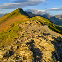 Buy canvas prints of Catbells from Skelgill Bank in spring by Chris Drabble