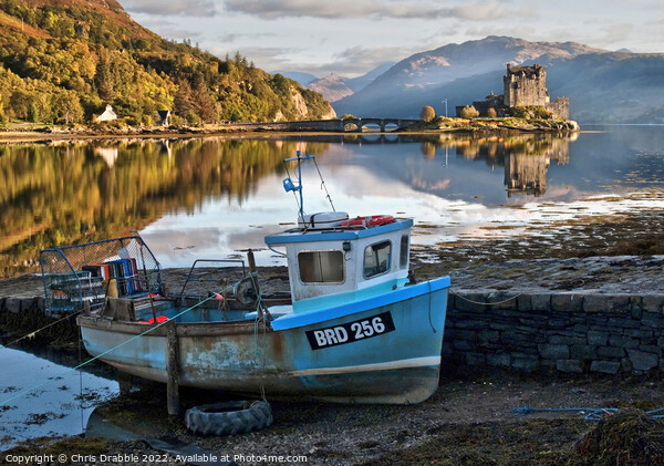Eilean Donan Castle with the Saltire unfurled Picture Board by Chris Drabble