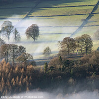 Buy canvas prints of Derwent Valley Dawn Mist by Chris Drabble